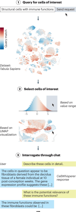 CellWhisperer Speeds Up RNA Analysis