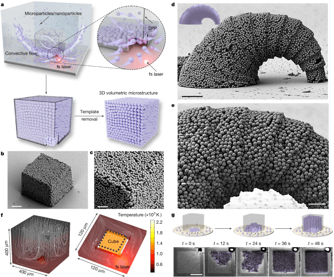 Revolutionary 3D Microfabrication Technique Unveiled